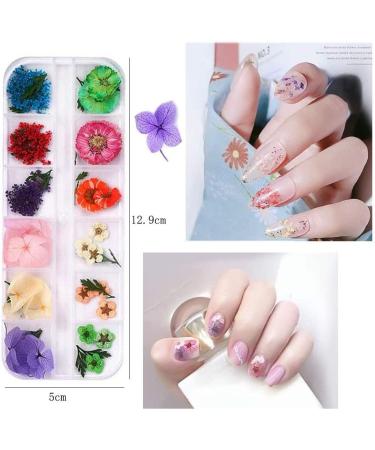Kalolary Nail Art Kit with Butterfly Sequins, Dried Flowers, Foil, Shavings, Rhinestones, Tweezers, and Picker Pencil - DIY Female Nail Decoration - Buy Online on SooperMarket.com