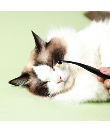 Professional Tear Stain Remover Powder & Applicator Brush for Dogs & Cats | Eye Care Comb for Pet Tear Stains - Buy Online on SooperMarket.com