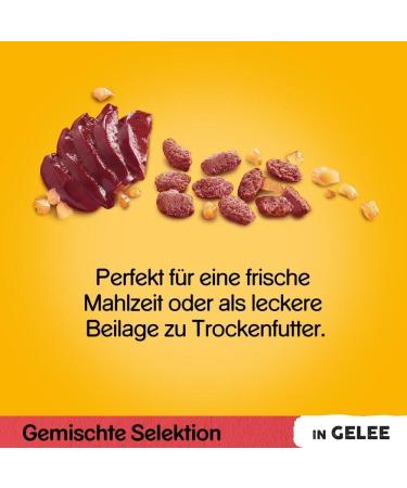 Buy Pedigree Multipack - 4 Flavor Mixed Selection in Jelly (2x12x100g) | Chicken Beef Lamb & Poultry | 2.4KG (1 Pack) - International Shipping Available - Buy Online on SooperMarket.com