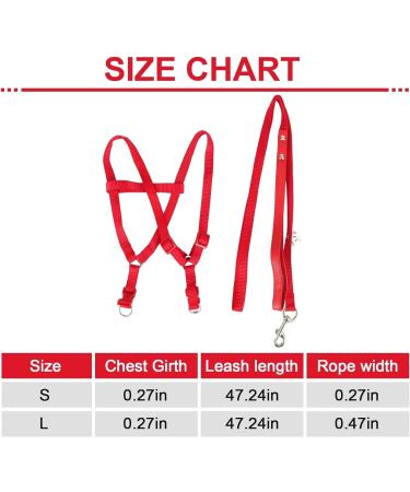 Felenny Bird Dishes & Adjustable Leash - Essential Outdoor Accessories for Scarlet Red Ara Sun Conure & Nymphensittich - Small Anti-Bite Solutions - Buy Online on SooperMarket.com