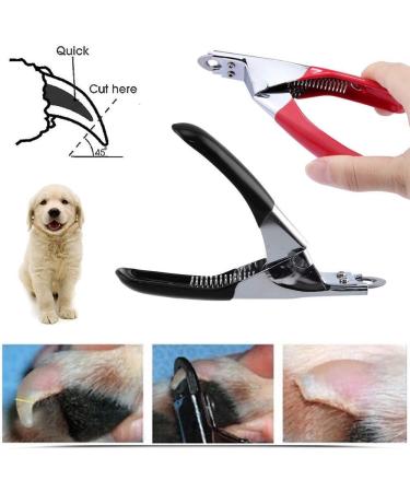 Tide brand tribe Pet nail clippers pet nail clippers dog cutter cat bird guinea pig animal claw trimmer scissors tool (Color : Red) - Buy Online on SooperMarket.com