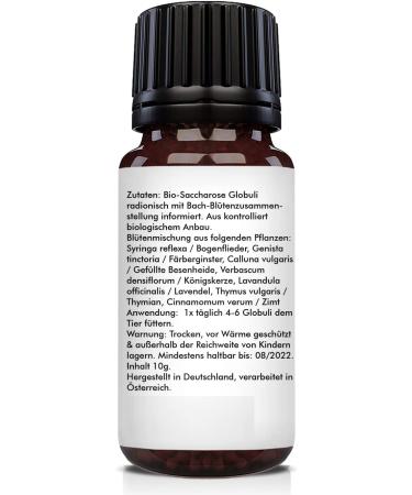 Saint Nutrition Lice & Fleas Plus Globules - Natural Remedy for Cats & Dogs | Homeopathic Solution with Bach Flowers | 10g - Buy Online on SooperMarket.com