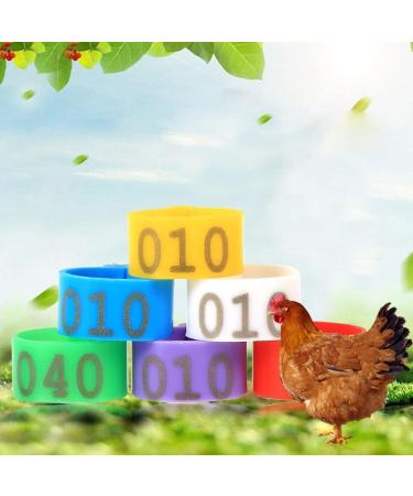 100pcs 16mm Clip on Chicken Leg Bands Number 001-100 Numbered Leg Bands for Chickens Ducks Hens Poultry Leg Bands for Dove Chicks Hen Parrot Birds Identification(Red) - Buy Online on SooperMarket.com
