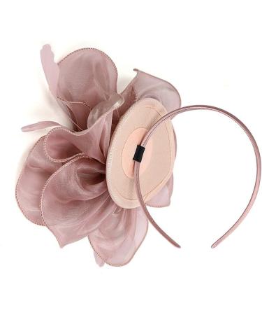 FRCOLOR Fascinator Feather Headband / Clip Party Wedding Royal Ascot Races Hair Accessories Headdress (Nude Pink) - Buy Online on SooperMarket.com