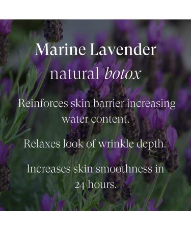 Intelligent Nutrients Liquid Green Whip Eye Cream - Under Eye Revitalization with Blue Tansy + Rosehip Oil - Reduce Dark Circles and Under Eye Bags (15 ml) - Buy Online on SooperMarket.com