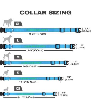 Buy Tagme Personalized Dog Collar for Small Dogs - Embroidered Reflective Nylon Sky Blue XS (1 Pack) - Custom Pet Name & Phone Number - Buy Online on SooperMarket.com