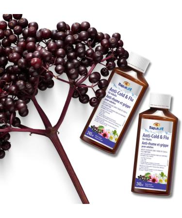 MapleLife Nutrition - Anti Cold and Flu for Adults - Herbal Formula with Extracts of Chamomile Echinacea Elderberry - Vitamin C - Zinc - 240 ml - Buy Online on SooperMarket.com