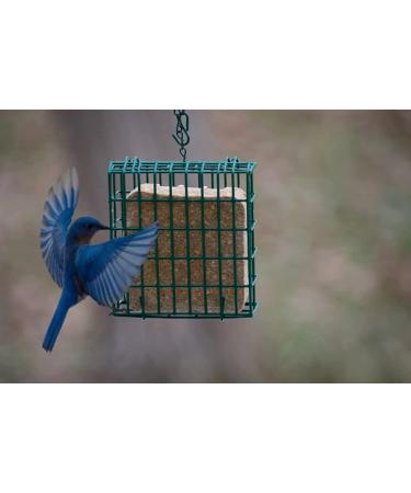 C&S Wild Bird Double Suet Basket  2.7" D x 5.3" W x 5.2" H - Buy Online on SooperMarket.com