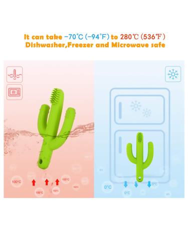 Cactus Teether Baby Toothbrush | Self-Soothing Pain Relief Teething Toy for Babies | Natural Organic BPA-Free | Green - Buy Online on SooperMarket.com