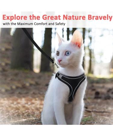 Escape Proof Cat Harness Set with Lead for Cats - XS Size - Buy Online on SooperMarket.com