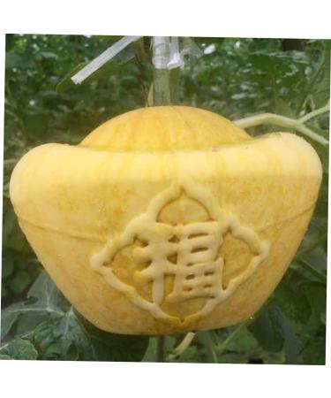 GANAZONO 4pcs Clear Fruit Mini Watermelon Plastic Fruit Square Mold Small Fruit Mold Ginseng Tool Pumpkin - Buy Online on SooperMarket.com