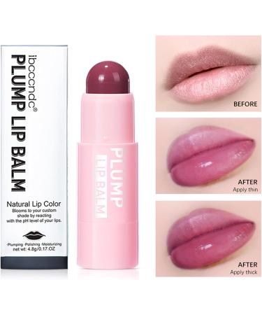 VigCebit Lip Plump Balm | 4 Colors Lip Gloss - Natural Moisture Serum for Fuller Lips | Day & Night Lip Care - Buy Online on SooperMarket.com