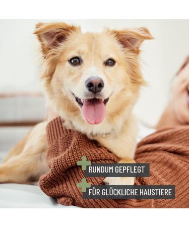 Reavet 2-in-1 Fur Comb for Medium & Long-Haired Dogs & Cats | Ideal for Daily Fur Care & Knot Removal - Buy Online on SooperMarket.com