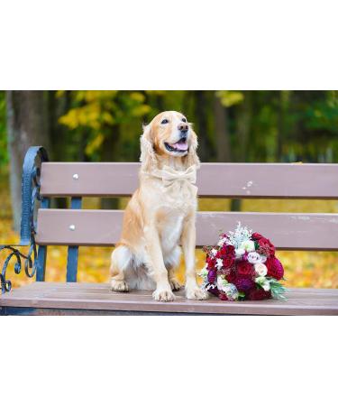 Comfortable Silk Dog Collar with Removable Fly for Small Dogs | Lionet Paws - 25-40cm White - Buy Online on SooperMarket.com