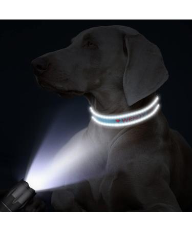 Buy Tagme Personalized Dog Collar for Small Dogs - Embroidered Reflective Nylon Sky Blue XS (1 Pack) - Custom Pet Name & Phone Number - Buy Online on SooperMarket.com