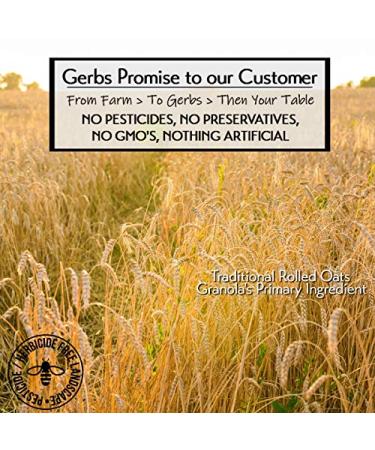 GERBS Dried Blueberry Harvest Granola - 32oz Allergy-Free, Non-GMO Snack - Buy Online on SooperMarket.com