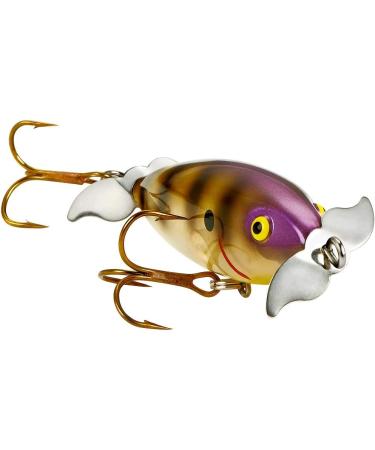 Cotton Cordell Crazy Shad 3 3/8oz Topwater Fishing Lure - Bluegill - Buy Online on SooperMarket.com