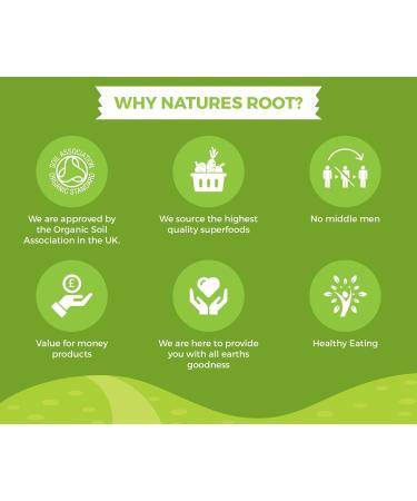 Nature's Root Organic Raw Cacao Powder - 250g (Pack of 1) - Premium Quality - Buy Online on SooperMarket.com