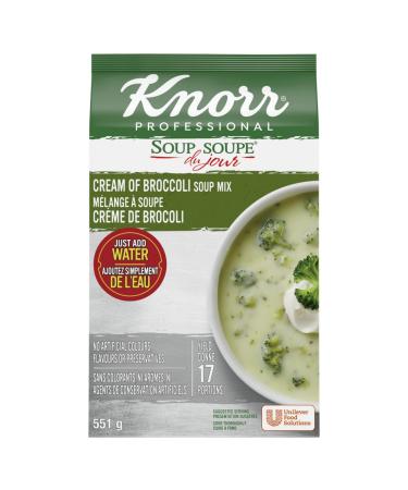 Knorr Professional Cream Broccoli Soup Mix Gluten Free Broccoli 551 g (Pack of 1)