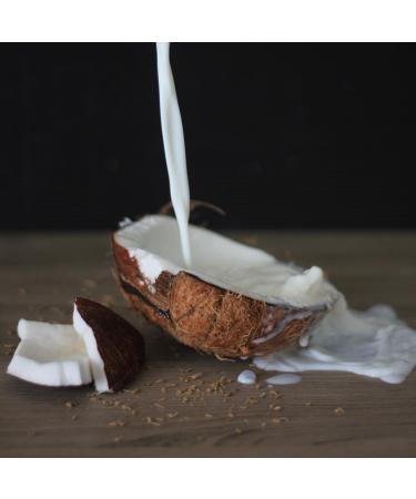 AROY-D Coconut Milk 250ml - Perfect for Cooking Baking Desserts Soups & Smoothies - 2 Pack | Premium Quality for International Shipping - Buy Online on SooperMarket.com