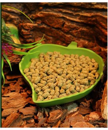 PINVNBY Reptile Food Water Bowl 2 in 1 Feeding Dish Automatic Dispenser Turtle Feeders Waterer With Leaf Plate Dish for Lizards Tortoises Gecko Chameleon 2 PCS (blue) - Buy Online on SooperMarket.com