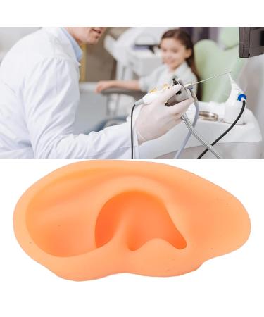 Ear Display Mould Waterproof Silicone Educational Professional Ear Model for Hospital(Right) - Buy Online on SooperMarket.com