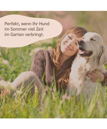Amusi Neem l Tick Spray for Dogs 250ml | Natural Vegan Tick Protection Insect Spray - Paraben & Nickel Free - Buy Online on SooperMarket.com
