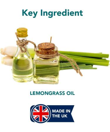 The Healthy Dog Co Spot On Flea and Tick Treatment for Dogs 100ml - Buy Online on SooperMarket.com