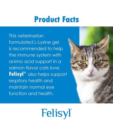 Felisyl L-Lysine Soft Chews for Cats - Immune System Support - Respiratory & Vision Health - 60 Chews - Buy Online on SooperMarket.com
