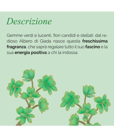 L'Erbolario Jade Plant - Notes Of Bergamot Jade Flower And Lemon - Floral Fragrance For Women - Reflects Radiance - Offers Charm And Positive Energy - Long Lasting Wear - 1.6 Oz EDP Spray - Buy Online on SooperMarket.com