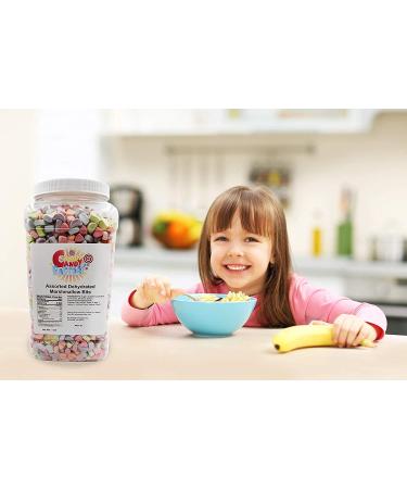 Sarah's Candy Factory Dehydrated Marshmallow Bits 1lb Jar - Assorted Flavors - Buy Online on SooperMarket.com