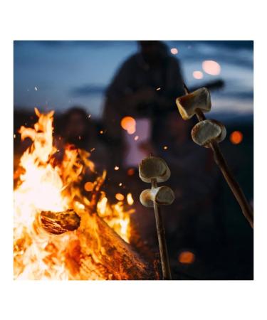 Buy Mr. Mallo Super Barbecue Marshmallows - Pink & White Foam Sugar Candy (300g) for Grilling & Campfires - Soft Delicious Treats - Buy Online on SooperMarket.com