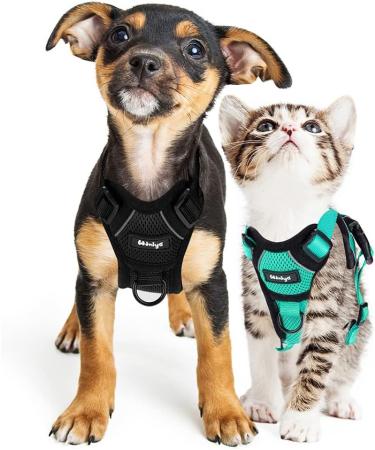 Breakproof Cat Leash Set & Adjustable Soft Kitten Vest with Reflective Stripes - Green Small Cat Dishes for Kittens - Buy Online on SooperMarket.com