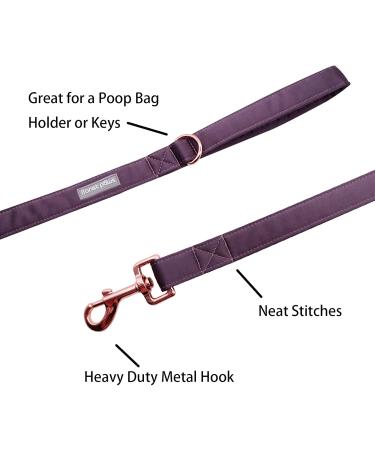 Lionet Paws Dog Leash - Premium Silk Leash for Small Medium & Large Dogs | Matching Collars in Purple for Boys & Girls - Durable & Stylish (Pack of 1) - Buy Online on SooperMarket.com