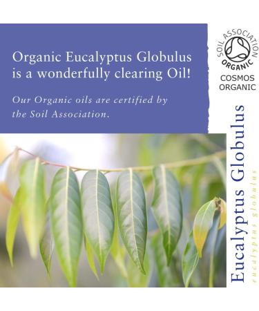 Absolute Aromas Organic Eucalyptus Essential Oil 10ml - 100% Pure & Natural for Diffusers - Cruelty-Free - Aromatherapy Blend - Pack of 1 - Buy Online on SooperMarket.com