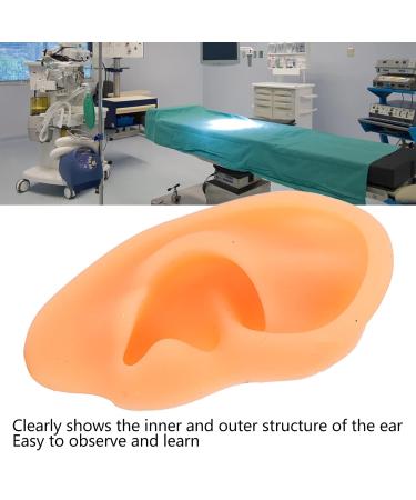 Soft Lifelike Silicone Flexible Left Ear Display Mould for Hospitals - Buy Online on SooperMarket.com