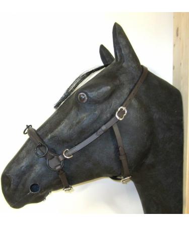 Buy PS Horse French Cavesson Cavecon with D-Rings - Soft Full Brown with Gold Fittings | International Shipping Available - Buy Online on SooperMarket.com