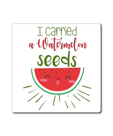 I Carried A Watermelon Seeds Watermelon Shirt | Maternity T Shirt | Family Reunion Shirt | Pregnancy T Shirt | Pregnancy Top Magnets 3" 3"