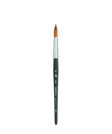 Princeton Aqua Elite  Series 4850  Synthetic Kolinsky Watercolor Paint Brush Round  12