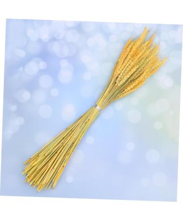 Zerodeko Natural Wheat 1 Decor Simulation Wheat Dried Wheat Rural Wheat Dried Flowers Natural Decorative Wheat - Buy Online on SooperMarket.com