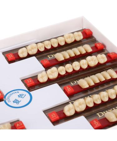 Buy Complete Resin Dentures | High-Quality Artificial Teeth & Dental Supplies for International Shipping - Buy Online on SooperMarket.com