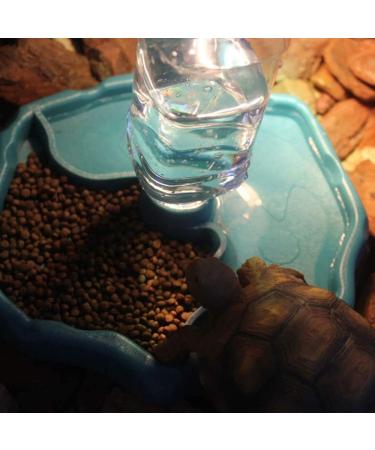 PINVNBY Reptile Food Water Bowl 2 in 1 Feeding Dish Automatic Dispenser Turtle Feeders Waterer With Leaf Plate Dish for Lizards Tortoises Gecko Chameleon 2 PCS (blue) - Buy Online on SooperMarket.com