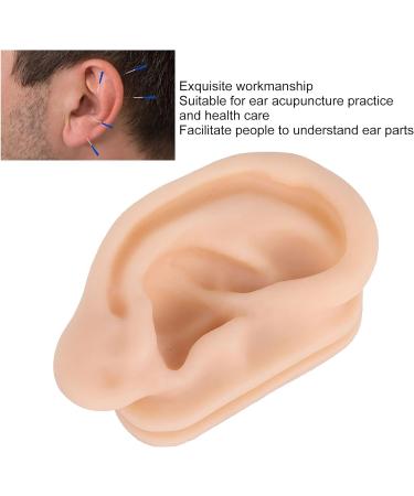 Skin-Friendly Silicone Ear Acupuncture Model for Otolaryngology Centers, Pharmacies, and Hospitals - Buy Online on SooperMarket.com
