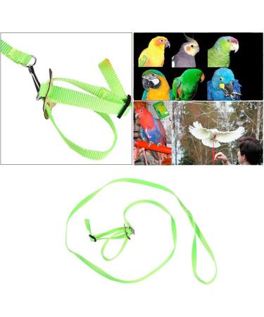 Adjustable Pet Parrot Bird Dishes & Anti-Bite Training Leash | Ideal for Outdoor Use - Buy Online on SooperMarket.com