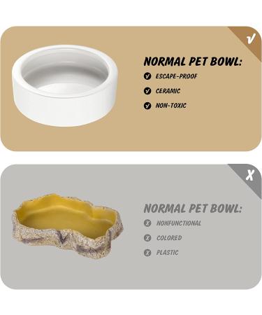 Small Ceramic Reptile Food Dish Bowl & Water Dish Set - 2 Pack | Ideal for Lizards, Geckos, Bearded Dragons, Chameleons, Hermit Crabs | Anti-Escape Design for Mealworms, Crickets, Superworms | 2.75in White - Buy Online on SooperMarket.com