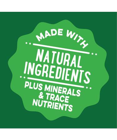 Greenies PILL POCKETS for Cats Natural Soft Cat Treats Chicken Flavor 1.6 oz. Pack (45 Treats) Chicken 45 g (Pack of 1) Standard Packaging - Buy Online on SooperMarket.com
