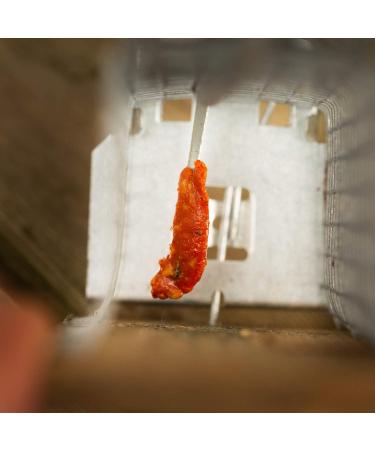 Martenbrown Rodent Feast: Premium Kneadable Mouse Bait & Trap Lure for Mice and Rats - International Shipping Available - Buy Online on SooperMarket.com