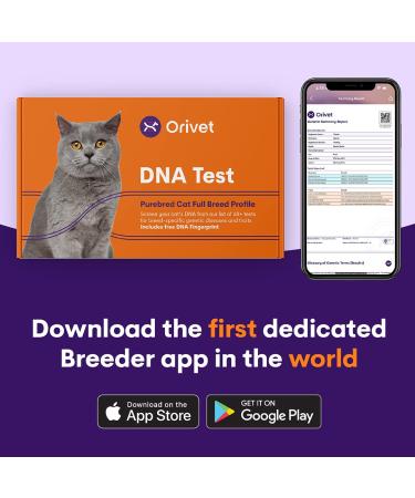ORIVET Cat Breed DNA Test - 1 Pack | Comprehensive Genetic Health Screening & LifePlan | At Home Cheek Swab | Accurate & Fast Results - Buy Online on SooperMarket.com