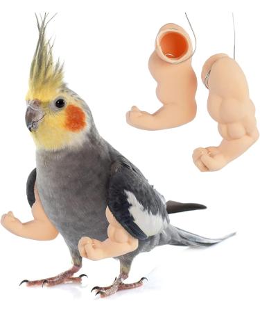 FUAMEY Muscle Chicken Arms Toys for Chickens to Wear  Funny Costume Fist Fighting Arms Toy for Pet Prank Themed Party  Artificial Arms Decorations Costume Cosplay for Chickens Rooster Hens Upgraded version - Buy Online on SooperMarket.com