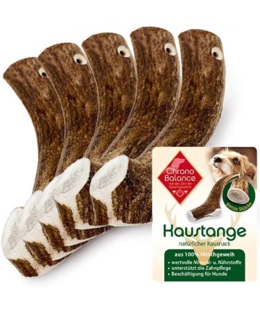 Chronobalance XS (5 Set) Evest Anti for dogs Whole pieces as a cake stuff: 100% deer antler dog toys treats brawl chewing chewing bones of course without additives XS - 5 pieces